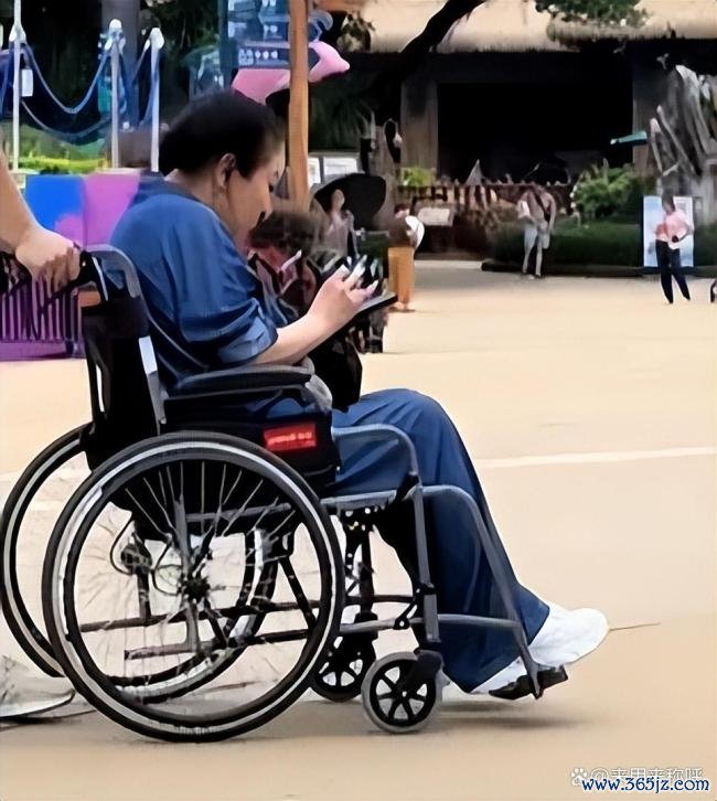 向佐一家现身珠海 温馨全家游打破疏离传闻