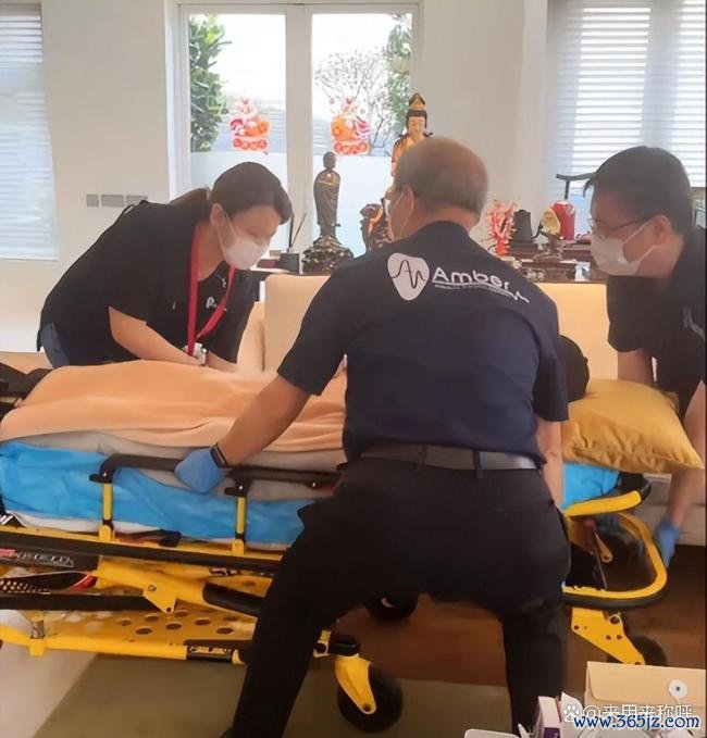 向佐一家现身珠海 温馨全家游打破疏离传闻