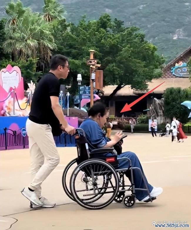 向佐一家现身珠海 温馨全家游打破疏离传闻