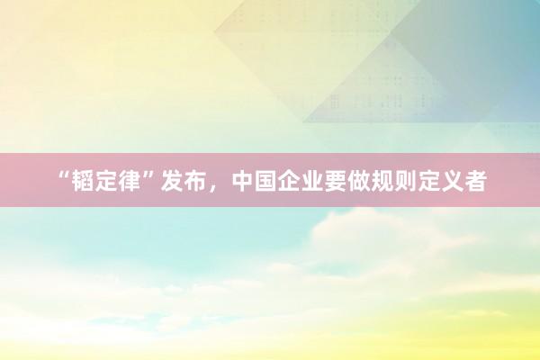 “韬定律”发布，中国企业要做规则定义者