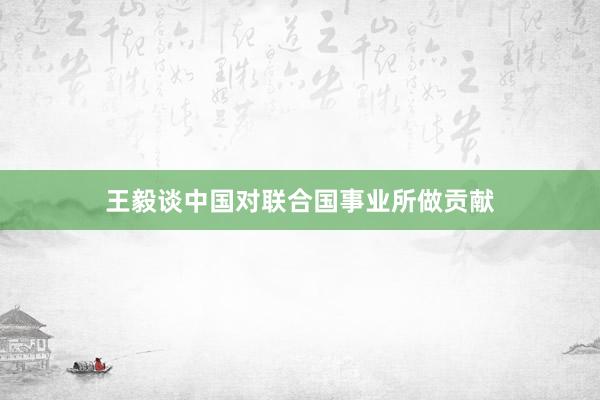 王毅谈中国对联合国事业所做贡献