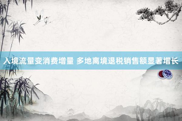 入境流量变消费增量 多地离境退税销售额显著增长
