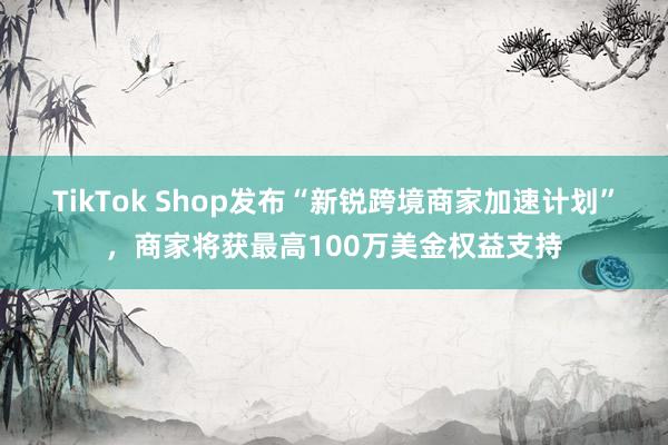 TikTok Shop发布“新锐跨境商家加速计划”，商家将获最高100万美金权益支持