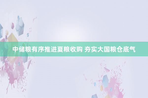 中储粮有序推进夏粮收购 夯实大国粮仓底气