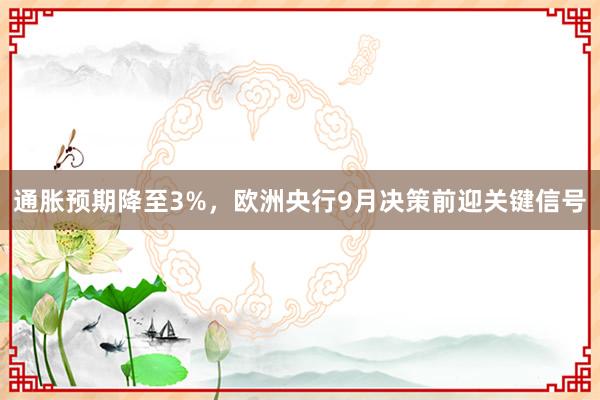 通胀预期降至3%，欧洲央行9月决策前迎关键信号