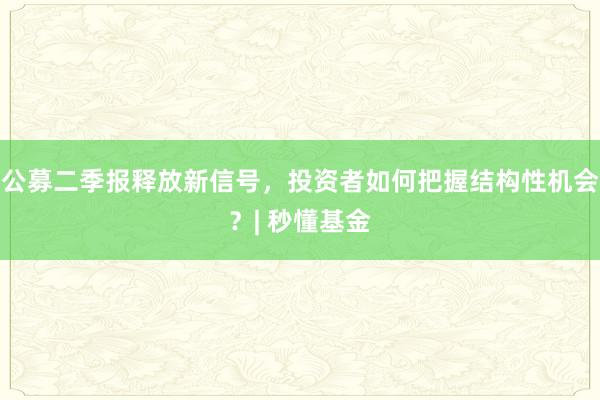 公募二季报释放新信号，投资者如何把握结构性机会？| 秒懂基金