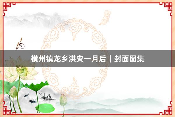 横州镇龙乡洪灾一月后｜封面图集