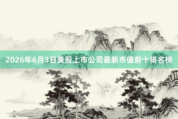 2026年6月3日美股上市公司最新市值前十排名榜