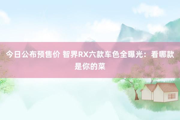 今日公布预售价 智界RX六款车色全曝光：看哪款是你的菜