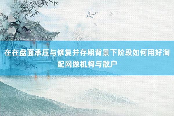 在在盘面承压与修复并存期背景下阶段如何用好淘配网做机构与散户