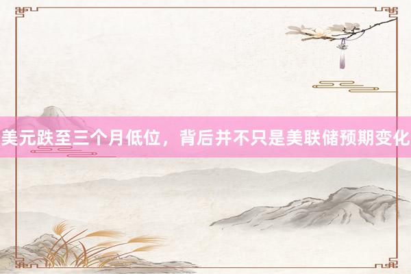 美元跌至三个月低位，背后并不只是美联储预期变化