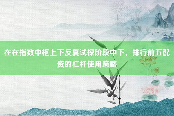 在在指数中枢上下反复试探阶段中下，排行前五配资的杠杆使用策略