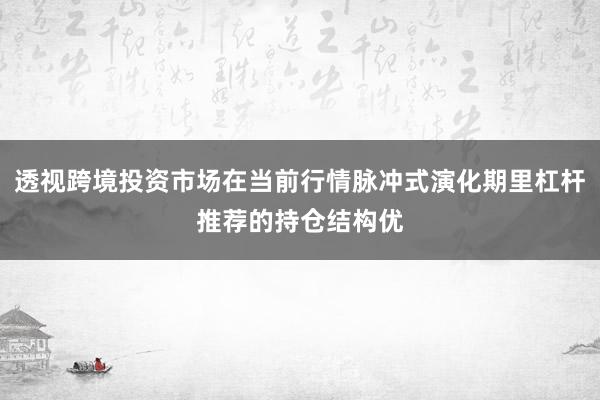 透视跨境投资市场在当前行情脉冲式演化期里杠杆推荐的持仓结构优