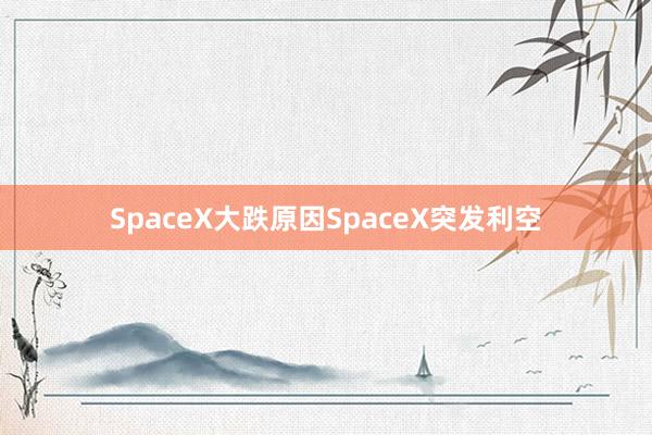 SpaceX大跌原因SpaceX突发利空