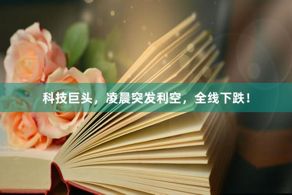 科技巨头，凌晨突发利空，全线下跌！