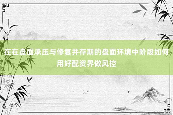 在在盘面承压与修复并存期的盘面环境中阶段如何用好配资界做风控
