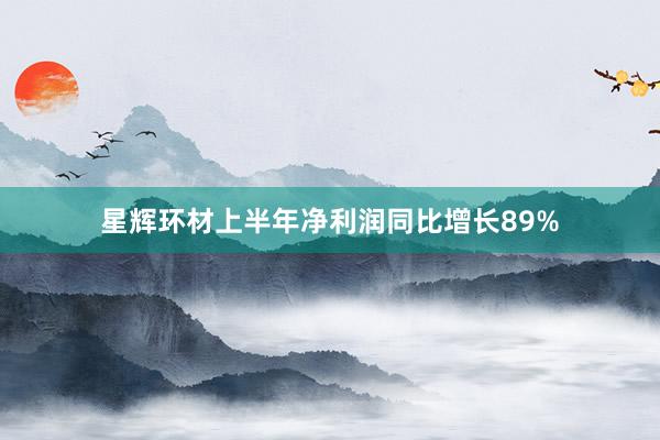 星辉环材上半年净利润同比增长89%