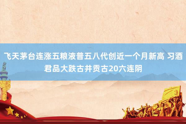 飞天茅台连涨五粮液普五八代创近一个月新高 习酒君品大跌古井贡古20六连阴