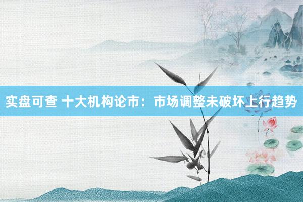 实盘可查 十大机构论市：市场调整未破坏上行趋势