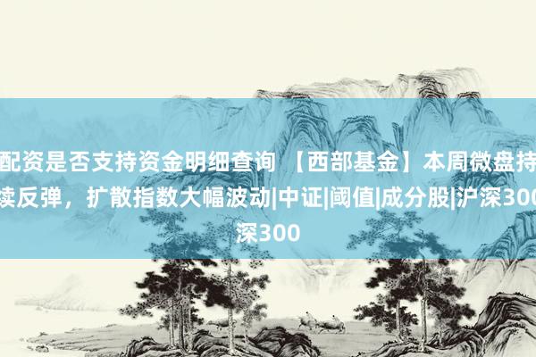 配资是否支持资金明细查询 【西部基金】本周微盘持续反弹，扩散指数大幅波动|中证|阈值|成分股|沪深300