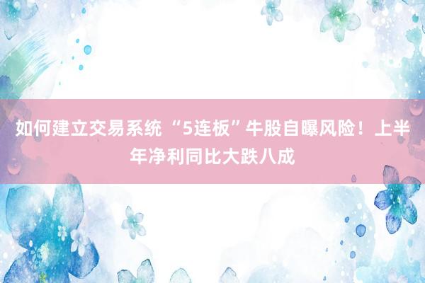 如何建立交易系统 “5连板”牛股自曝风险！上半年净利同比大跌八成