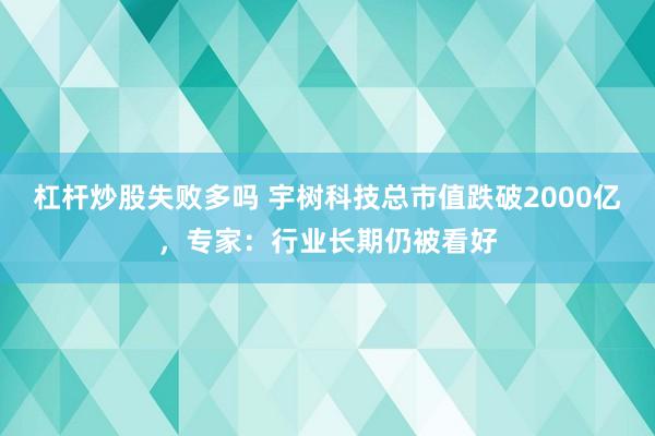 杠杆炒股失败多吗 宇树科技总市值跌破2000亿，专家：行业长期仍被看好