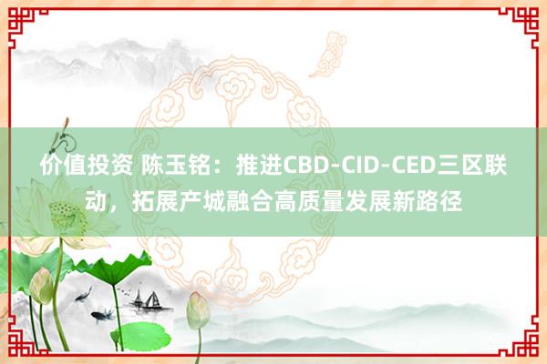 价值投资 陈玉铭：推进CBD-CID-CED三区联动，拓展产城融合高质量发展新路径
