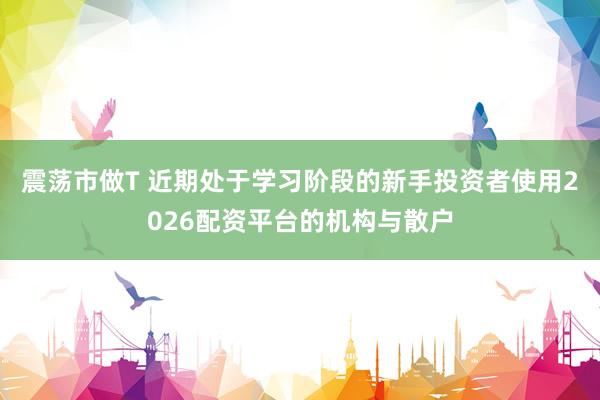 震荡市做T 近期处于学习阶段的新手投资者使用2026配资平台的机构与散户