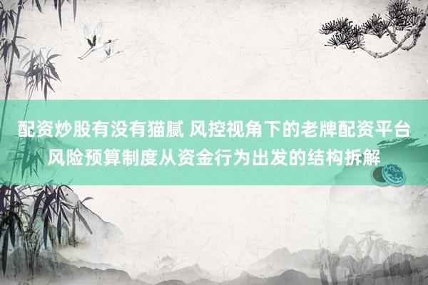 配资炒股有没有猫腻 风控视角下的老牌配资平台风险预算制度从资金行为出发的结构拆解