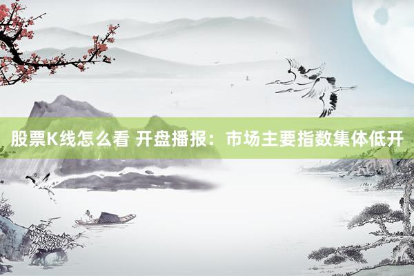 股票K线怎么看 开盘播报：市场主要指数集体低开