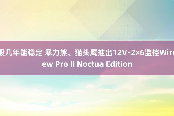炒股几年能稳定 暴力熊、猫头鹰推出12V-2×6监控WireView Pro II Noctua Edition