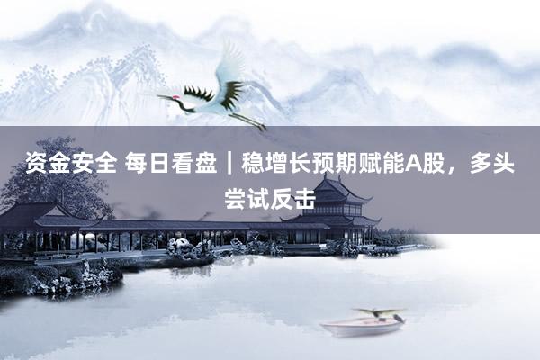 资金安全 每日看盘｜稳增长预期赋能A股，多头尝试反击