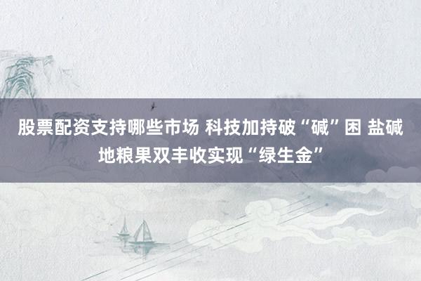 股票配资支持哪些市场 科技加持破“碱”困 盐碱地粮果双丰收实现“绿生金”
