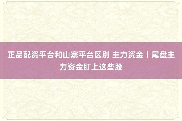 正品配资平台和山寨平台区别 主力资金丨尾盘主力资金盯上这些股